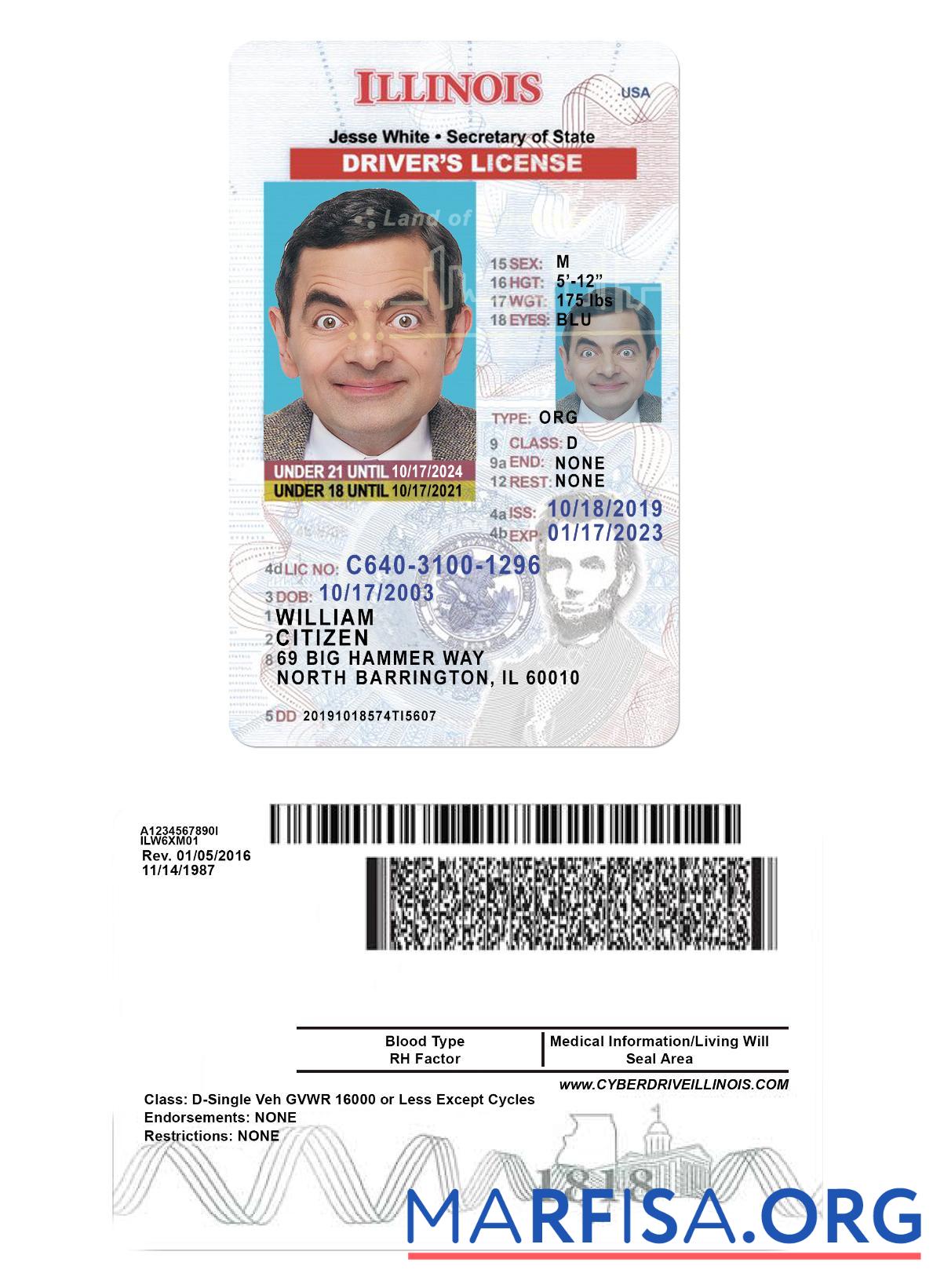 Blank USA Illinois driving license under 21 template